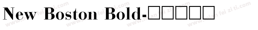 New Boston Bold字体转换